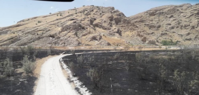 اقدامات پیشگیرانه جهت جلوگیری از آتش سوزی در مراتع گچساران با همکاری اداره منابع طبیعی و بخشداری مرکزی گچساران اقدامات پیشگیرانه جهت جلوگیری از آتش سوزی در مراتع گچساران با همکاری اداره منابع طبیعی و بخشداری مرکزی گچساران