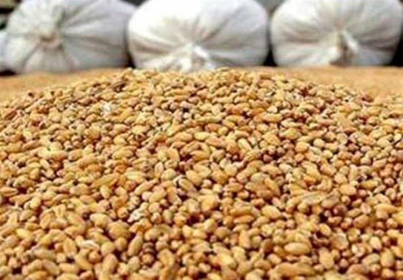 قیمت جدید نهاده‌های دامی بعد از اصلاح ارز ۴۲۰۰تومانی اعلام شد